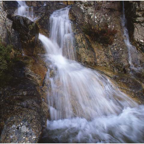 Cascade Foret de Zonza, Corse, Photographie Paul Maurer, dans les pas d'Erik Borja