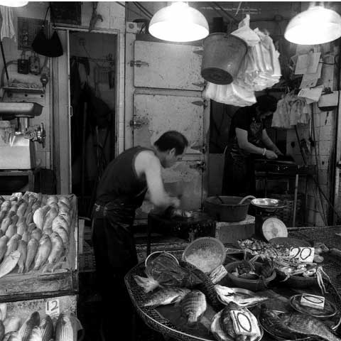 Fish market opened at night in Causeway Bay Hongkong photo Paul Maurer
