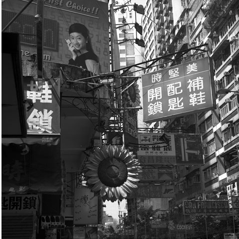Hennessy road Wanchai HongKong Photo Paul Maurer