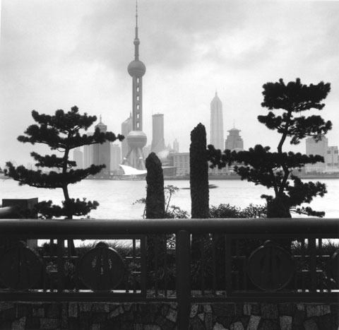 Pudong and little zen garden photo Paul Maurer