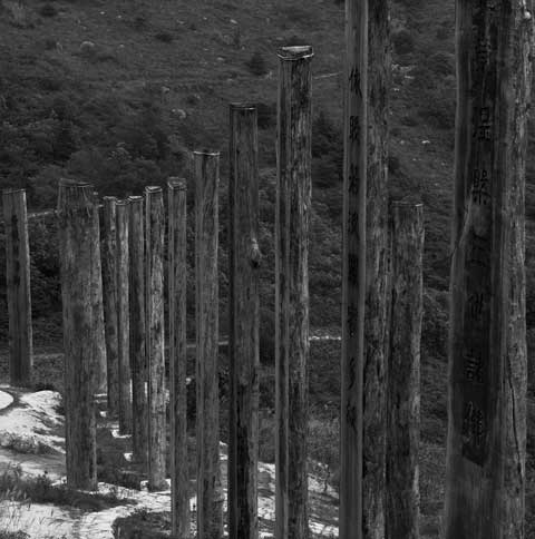 Heart Sutra Wisdom Path by Pr. Jao Tsung-I Lantau Island Hongkong China Poles 10 Photo Paul Maurer