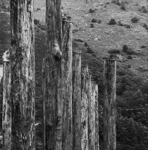 Heart Sutra Wisdom Path by Pr. Jao Tsung-I Lantau Island Hongkong China Poles 11 Photo Paul Maurer