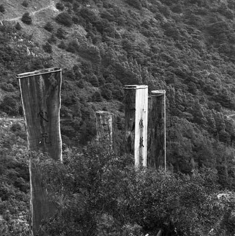 Heart Sutra Wisdom Path by Pr. Jao Tsung-I Lantau Island Hongkong China Poles 13 Photo Paul Maurer