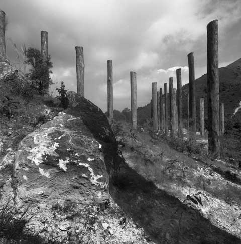 Heart Sutra Wisdom Path by Pr. Jao Tsung-I Lantau Island Hongkong China Poles 2 Photo Paul Maurer