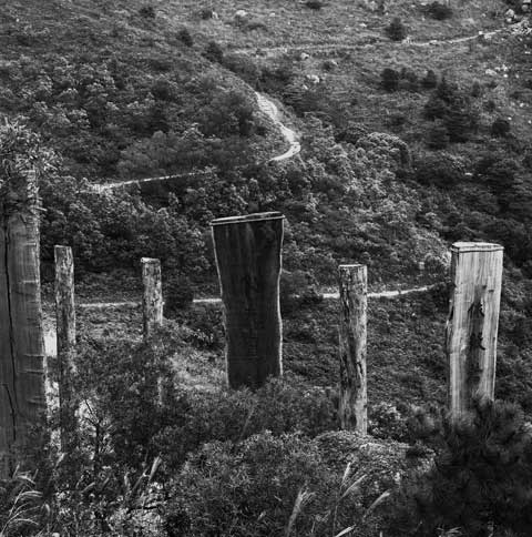 Heart Sutra Wisdom Path by Pr. Jao Tsung-I Lantau Island Hongkong China Poles 4 Photo Paul Maurer