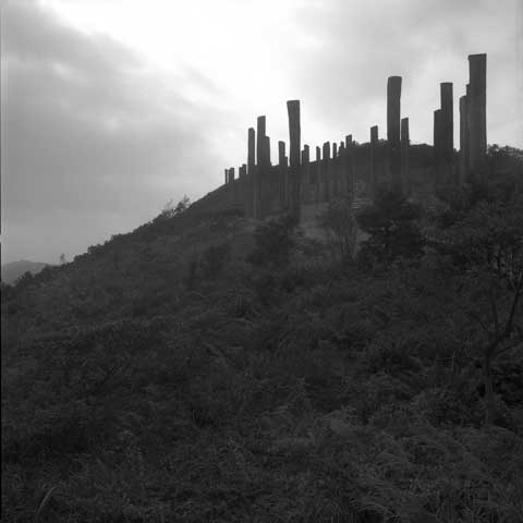 Heart Sutra Wisdom Path by Pr. Jao Tsung-I Lantau Island Hongkong China Poles 5 Photo Paul Maurer