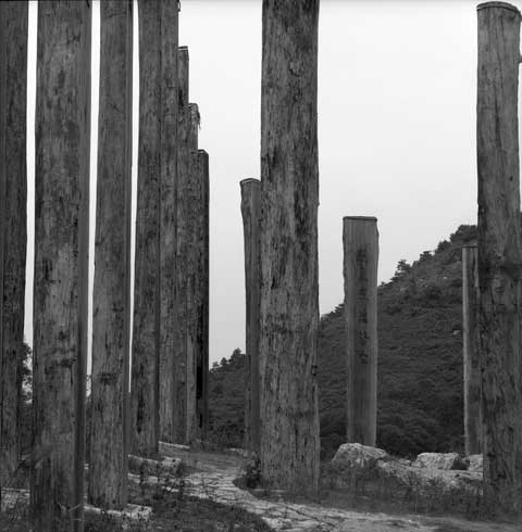Heart Sutra Wisdom Path by Pr. Jao Tsung-I Lantau Island Hongkong China Poles 7 Photo Paul Maurer
