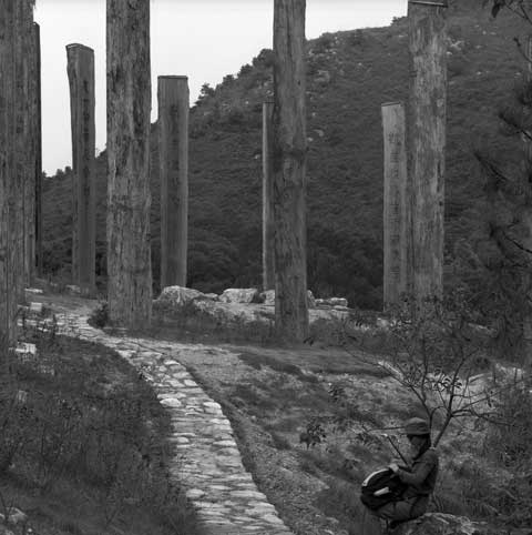 Heart Sutra Wisdom Path by Pr. Jao Tsung-I Lantau Island Hongkong China Poles 8 Photo Paul Maurer