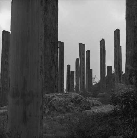 Heart Sutra Wisdom Path by Pr. Jao Tsung-I Lantau Island Hongkong China Poles 9 Photo Paul Maurer