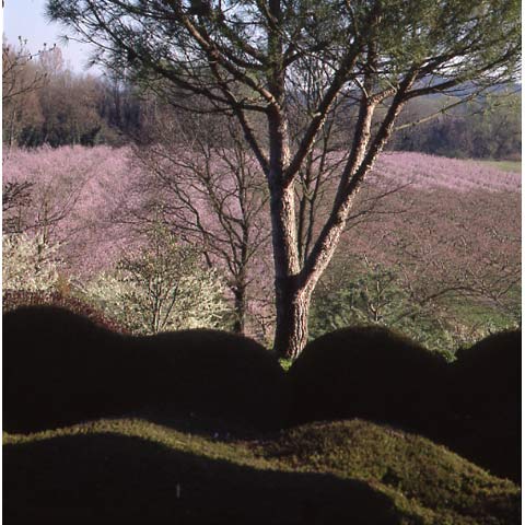 Jardin d'Erik Borja champ de pechers Valence France photo Paul Maurer