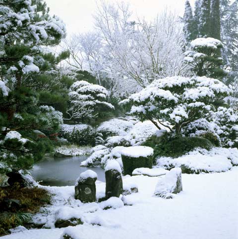 Jardin d'Erik Borja maison de the sous la neige Valence France photo Paul Maurer