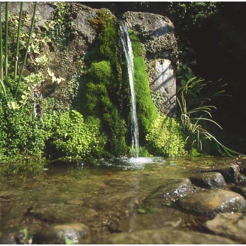 Jardin d'Erik Borja petite cascade de la vasque Valence France photo Paul Maurer
