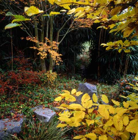 Jardin d'Erik Borja automne Valence France photo Paul Maurer